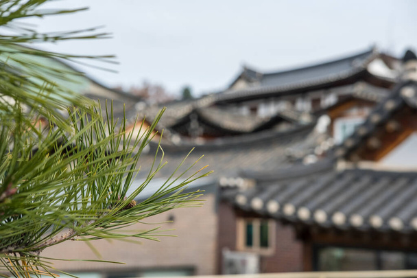 κλαδί πεύκου με κώνους, με κορεάτικο παραδοσιακό κτίσμα στο φόντο - Φωτογραφία, εικόνα