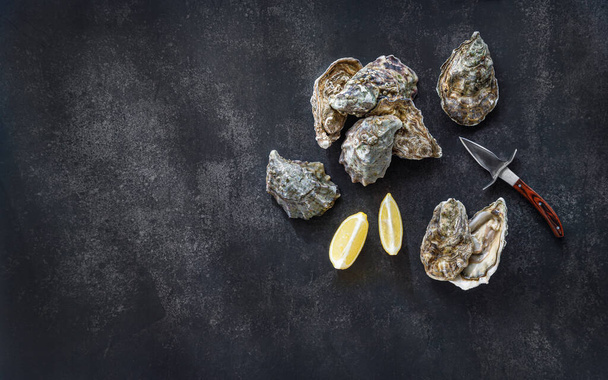 Top view with copy space. Fresh oysters, knife, lemon wedges on dark stone background. Opened fresh raw oysters. Oyster bar. Seafood. Oysters concept. Party food. Space for text. - Foto, Imagen