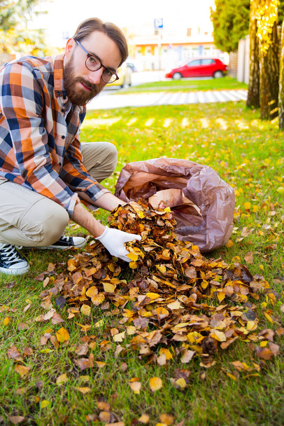 Man looking at the camera during autumn gardening works in a backyard. Collecting autumn leaves from a lawn to a plastic bag for bio waste.  - Foto, imagen