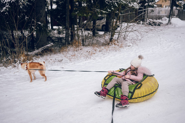 Μικρό χαριτωμένο κορίτσι σε ροζ ζεστό outwear διασκεδάζοντας με κόκκινο shiba inu βόλτες σκύλο φουσκωτό σωλήνα χιονιού σε χιονισμένο λευκό κρύο χειμώνα σε εξωτερικούς χώρους. Δραστηριότητες οικογενειακών αθλητικών διακοπών - Φωτογραφία, εικόνα