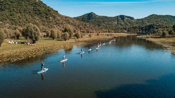 SUPの観光客のグループは、スカダル湖国立公園モンテネグロのRijeka Crnojevica川のパドルボードを立っています - 写真・画像