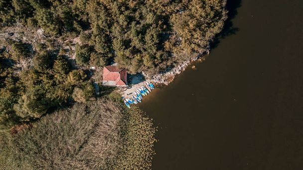 Skupina turistů na SUP postavit pádla v Rijeka Crnojevica řeky v národním parku Skadar Lake Černá Hora - Fotografie, Obrázek