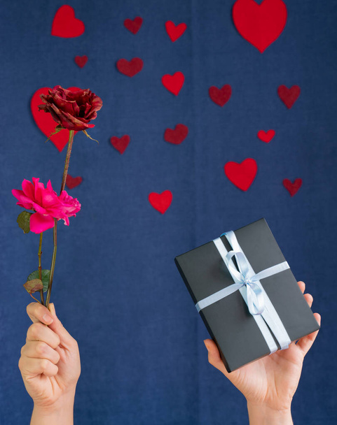 Композиція до Дня святого Валентина 14 лютого. Людина, яка тримає подарунок з синьою стрічкою і трояндує серцеву форму. Будь моєю валентиною, подарунком валентинки виражайте любов 2021. зосередження уваги - Фото, зображення