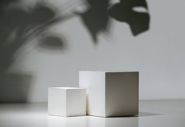 Composition of two white cubes over white wall with a shadow of big leaves - Foto, immagini