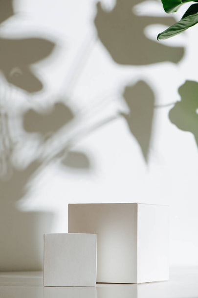 Тенистое изображение двух белых кубиков над стеной с тенью больших листьев на стеблях - Фото, изображение