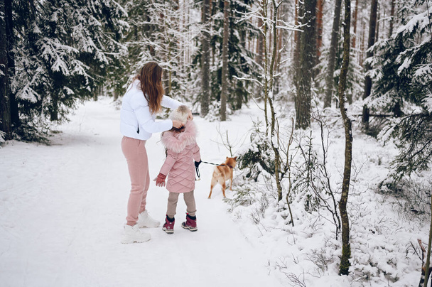 Feliz familia joven madre y niña linda en rosa cálido outwear caminar divirtiéndose con rojo shiba inu perro en nieve blanco frío bosque de invierno al aire libre. Deportes de familia actividades de vacaciones - Foto, Imagen