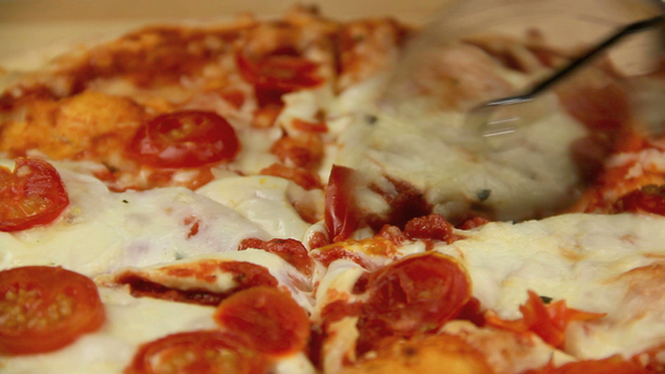 Pan na kawałki świeże pieczone pizza pieprzem - Materiał filmowy, wideo