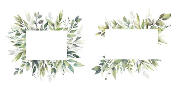 Набор акварельных цветочных иллюстраций - коллекция зеленых листьев рамы, для свадебных стационарных, поздравлений, обоев, моды, фона. Эвкалипт, оливки, зеленые листья и т.д.. - Фото, изображение