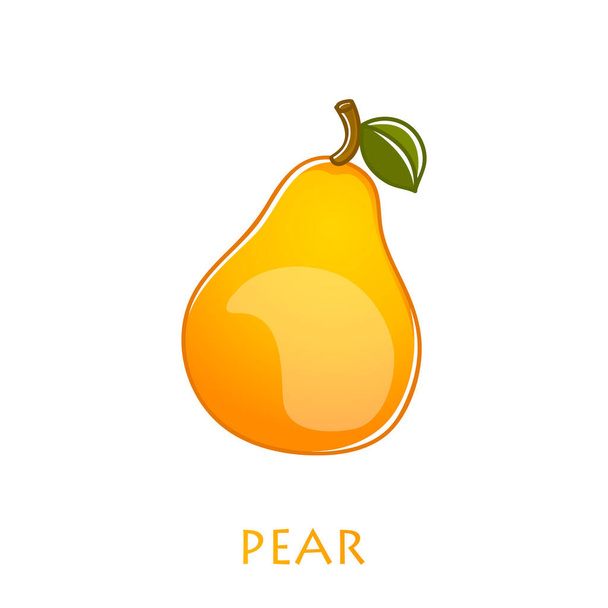 Pear fruit isolated on a white background. - Vector, Image