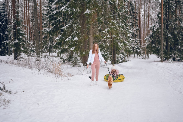 Madre feliz y niña linda en ropa interior de color rosa cálido caminar divertirse paseos inflable tubo de nieve con perro inu shiba rojo en nieve blanca fría bosque de invierno al aire libre. Deportes de familia actividades de vacaciones - Foto, imagen