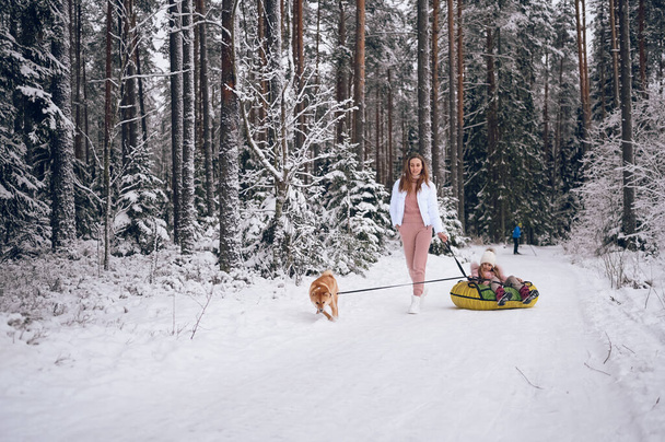 Šťastná matka a malá roztomilá dívka v růžové teplé oblečení chůzi baví vyjížďky nafukovací sněhové trubice s červenou shiba inu psa ve sněhobílém studeném zimním lese venku. Rodinné sportovní rekreační aktivity - Fotografie, Obrázek