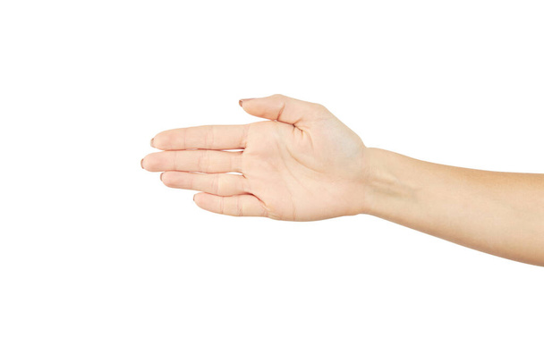 kobietę, która pokazuje otwartą dłoń odizolowaną na białym tle. koncepcja gestu zatrzymania lub kierowania. makieta - Zdjęcie, obraz