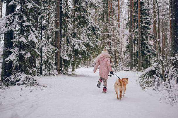 Happy family weekend - klein schattig meisje in roze warme outwear wandelen plezier met rode shiba inu hond in besneeuwde witte koude winter bos buiten. Kids sport vakantie activiteiten concept - Foto, afbeelding