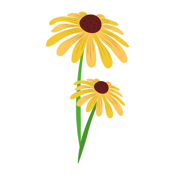 flower flora nature decoration isolated icon vector - Vector, afbeelding
