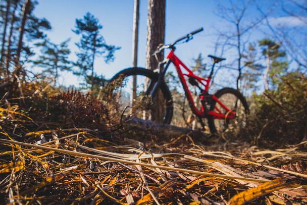 Enduro 27,5 mountain bike in red color resting on a bike single track in a forest on a sunny autumn day. Twigs and leaves in focus, good for product placement. Blue sky in the background. - Photo, Image