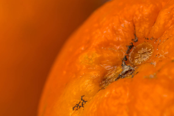 Closeup or macro of a natural orange skin with mole. Juicy orange up close. - Foto, immagini