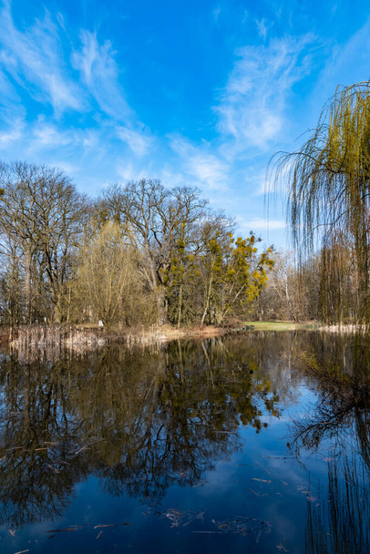 Sunny morning in park with small pond in it - Foto, afbeelding