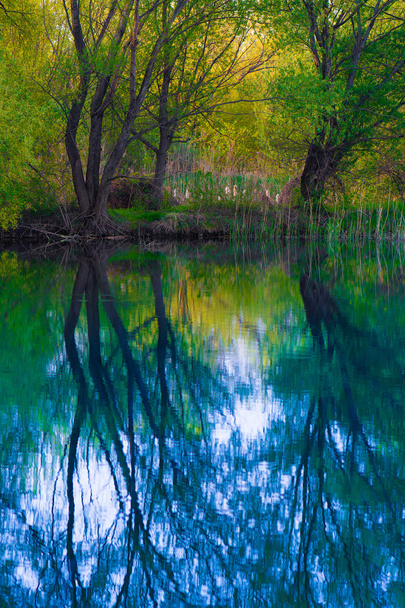 mistige moeras lake - Foto, afbeelding