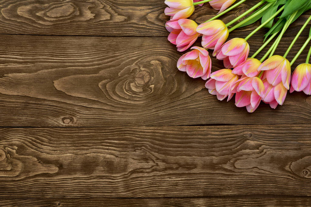 Spring tulip flowers over wooden background. Pink tulips. - Photo, image