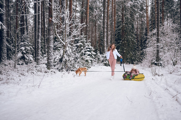Happy mother and little cute girl in pink warm outwear walking having fun rides inflatable snow tube with red shiba inu dog in snowy white cold winter forest outdoors. Family sport vacation activities - Photo, Image