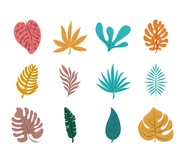tropical leaf foliage exotic nature icon set flat design - Vector, Image