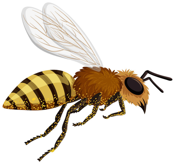 ape isolata su sfondo bianco illustrazione - Vettoriali, immagini