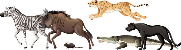 白い背景のイラストに野生のアフリカ動物のグループ - ベクター画像
