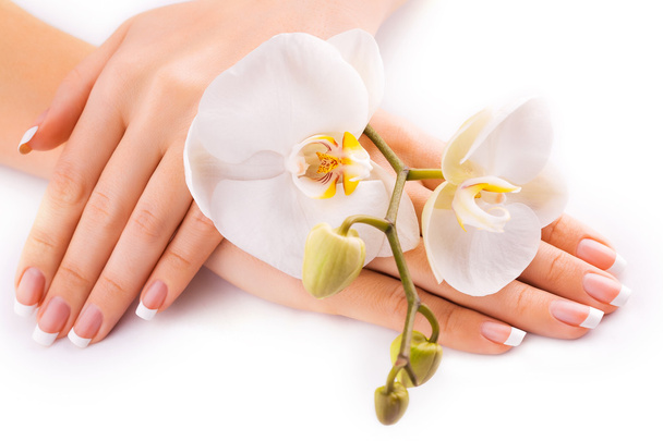 Beautiful french manicure with white orchid on white - Valokuva, kuva