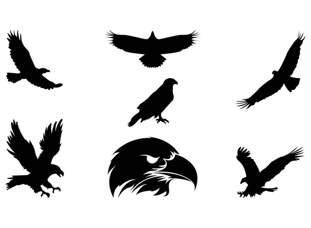 adelaar pictogram, logo, eenvoudig ontwerp set vector eps 10 - Vector, afbeelding