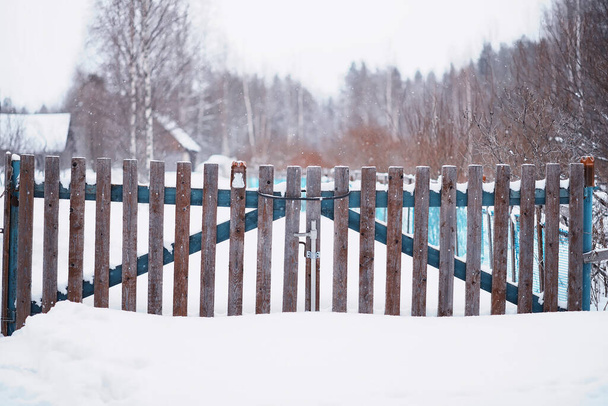 Paesaggio forestale invernale. Alberi alti sotto il manto di neve. Gennaio giornata gelida nel parco. - Foto, immagini