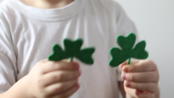 Zelený jetel zblízka v rukou malého chlapce na den svatého Patrika - Záběry, video
