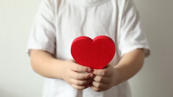 Coeur rouge près dans les mains du petit garçon le jour de la Saint-Valentin. - Séquence, vidéo