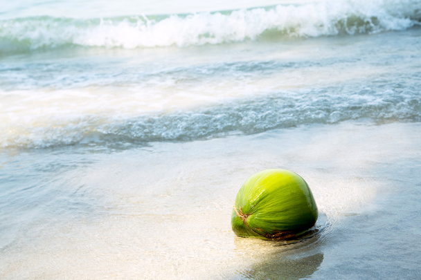 Coconut on tropical beach - Fotoğraf, Görsel