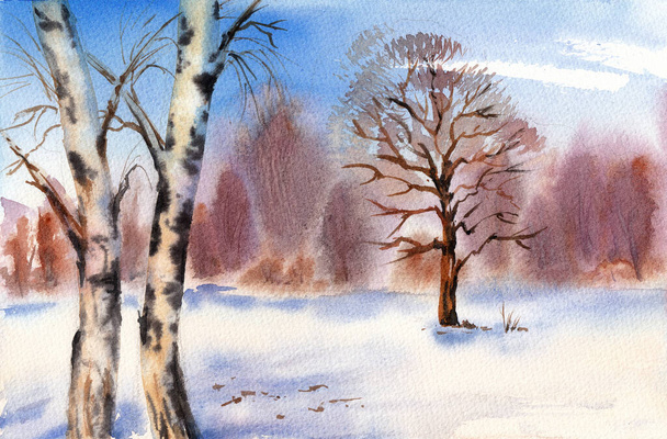 Winter sunny landscape. Frosty winter forest in snow. Hand drawn watercolor with paper texture - Foto, Imagem