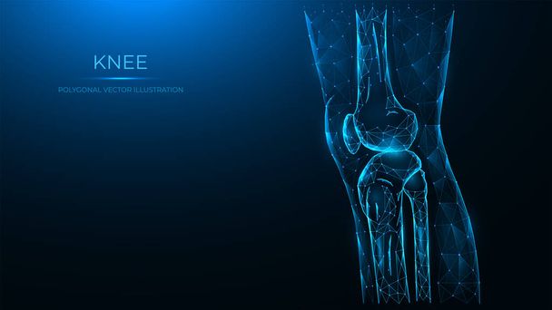 Illustrazione vettoriale poligonale della vista laterale dell'articolazione del ginocchio. Coscia e ginocchio fatti di linee e punti sono isolati su uno sfondo blu scuro. - Vettoriali, immagini