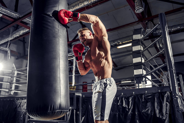 Boxertraining am Boxsack in der Turnhalle - Foto, Bild