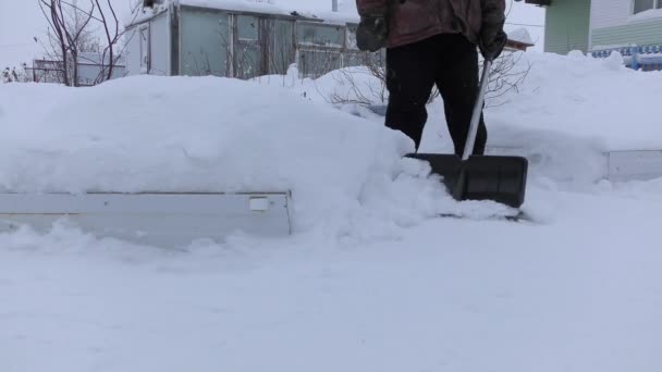 mensen op straat verwijderen sneeuw met schoppen - Video