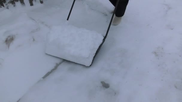 mensen op straat verwijderen sneeuw met schoppen - Video