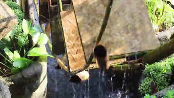 roue d'eau en bambou recycler utiliser la puissance, images stock - Séquence, vidéo