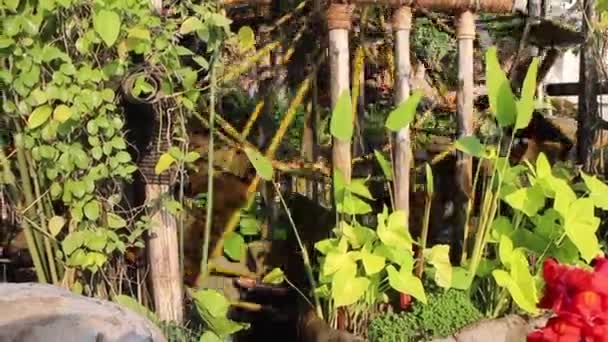 Bamboo water wheel recycle use power, stock footage - Materiał filmowy, wideo
