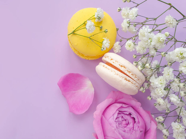 multicolored macaroon, rose flower on a colored background - Photo, Image