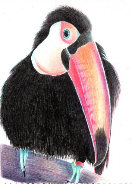  Color pencil illustration of a toucan bird with pink nose, sitting on the branch. Isolated on the white background - Foto, immagini