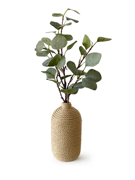 eucalyptus branches with round leaves in an oval pot, the pot is decorated with jute rope, isolated object on white background - Foto, Imagen