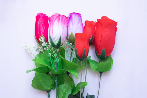 krásné pestrobarevné růže na bílém pozadí - Fotografie, Obrázek