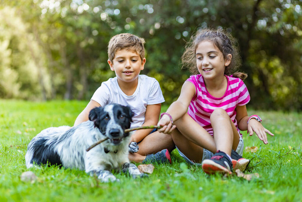 Two kids playing with a border collie on a field - Photo, Image