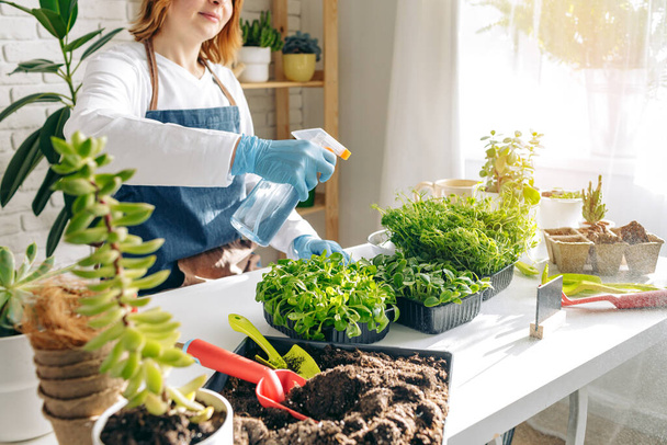 Female gardener caring for her plants indoors - Photo, image