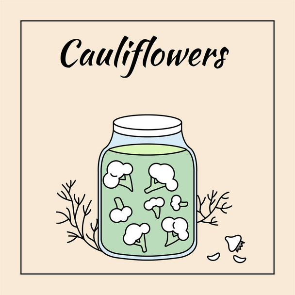 Pickled cauliflowers in glass jar, vector illustration - Vector, Imagen