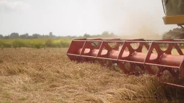 ロータリーストローウォーカーは、収穫者の削減と熟した小麦の穀物の脱穀を組み合わせています。しきい値リール、カッターバーシリアル耳を読み取るとプラットフォーム穀物ヘッダー。フィールド上の農業機械による作物の収集 - 映像、動画