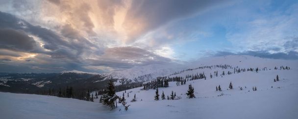 Picturesque winter windy cloudy morning alps. Highest ridge of the Ukrainian Carpathians is Chornohora with peaks of Hoverla and Petros mountains. View from Svydovets ridge and Dragobrat ski resort. - Foto, Imagen