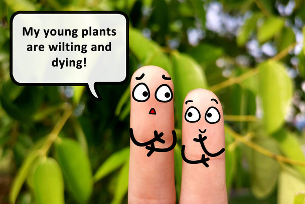 Twee vingers zijn gedecoreerd als twee personen. Een van hen vertelt dat mijn jonge planten verwelken en sterven.. - Foto, afbeelding